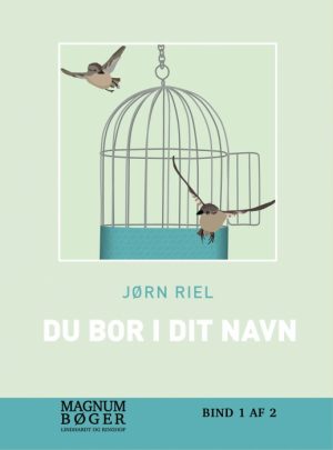 Du bor i dit navn (storskfrift) (Bog)