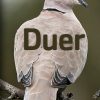 Duer (E-bog)