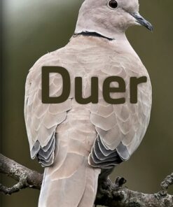 Duer (E-bog)