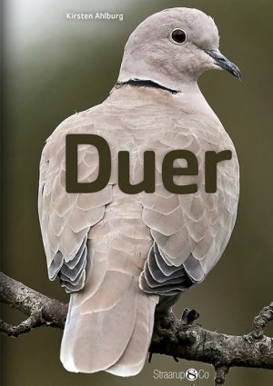 Duer (E-bog)