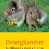 Dværgkaniner (Bog)