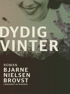 Dydig vinter (E-bog)