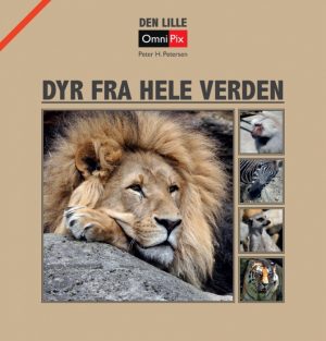 Dyr fra hele verden (Bog)