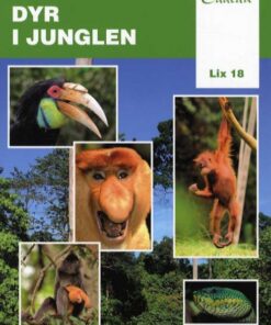 Dyr i junglen (Bog)