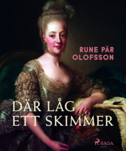 Där låg ett skimmer (E-bog)