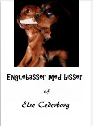 ENGLEBASSER MED BISSER (E-bog)