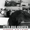 Efter drabet (Lydbog)