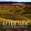 Efter isen (Bog)
