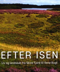 Efter isen (Bog)