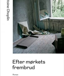 Efter mørkets frembrud (E-bog)