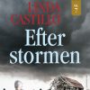 Efter stormen (E-bog)