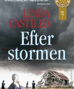 Efter stormen (E-bog)