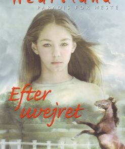 Efter uvejret (E-bog)