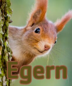 Egern (E-bog)
