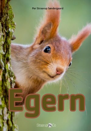 Egern (E-bog)