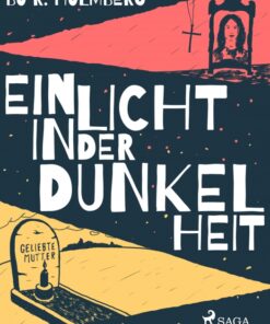 Ein Licht in der Dunkelheit (E-bog)