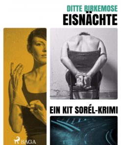 Eisnächte (E-bog)