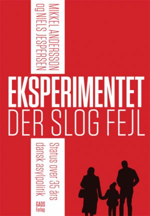 Eksperimentet der slog fejl (E-bog)