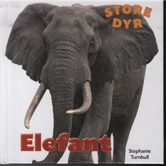 Elefant (Bog)