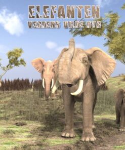 Elefanten (E-bog)