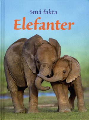 Elefanter (E-bog)