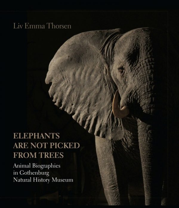 Elephants Are Not Picked From Trees - Liv Emma Thorsen - Bog