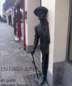 En Dag I Juni - Steen Kliggård Povlsen - Bog