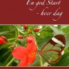 En God Start - Hver Dag - Susie Maclean - Bog