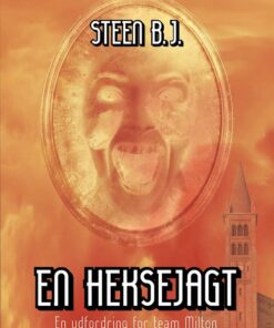 En Heksejagt - Steen B.j - Bog