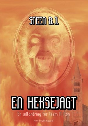 En Heksejagt - Steen B.j - Bog