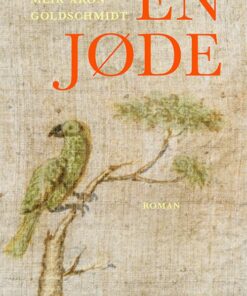 En Jøde - MeÃ¯r Aron Goldschmidt - Bog