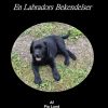 En Labradors Bekendelser - Pia Lund - Bog