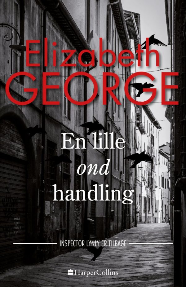 En Lille Ond Handling - Elizabeth George - Bog