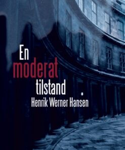 En Moderat tilstand (E-bog)