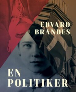En Politiker - Edvard Brandes - Bog