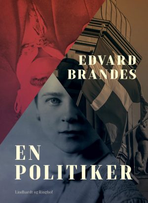 En Politiker - Edvard Brandes - Bog