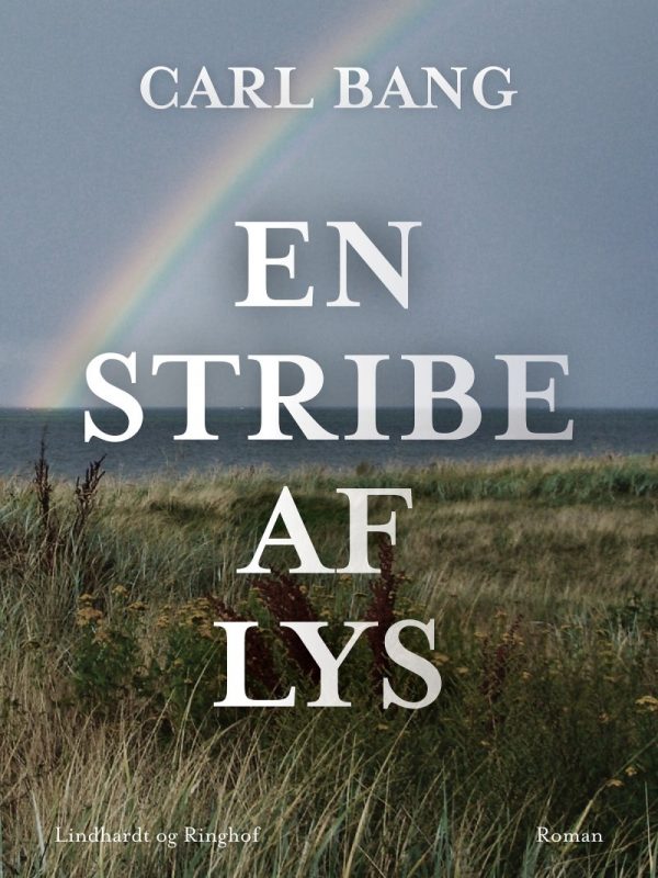 En Stribe Af Lys - Carl Bang - Bog