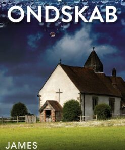 En Særlig Form For Ondskab - James Lilliefors - Bog