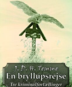 En bryllupsrejse (E-bog)