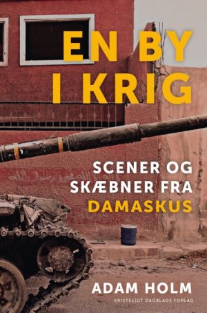 En by i krig (E-bog)