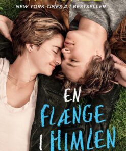 En flænge i himlen (Bog)