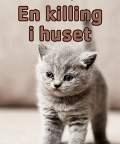 En killing i huset (E-bog)