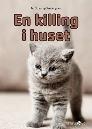 En killing i huset (E-bog)