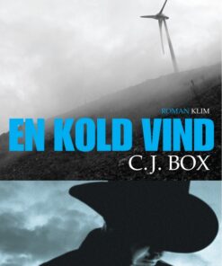 En kold vind (E-bog)