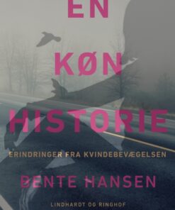 En køn historie (E-bog)