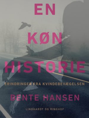En køn historie (E-bog)