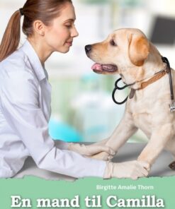 En mand til Camilla (Bog)