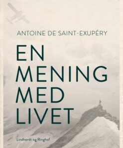En mening med livet (E-bog)