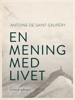 En mening med livet (E-bog)