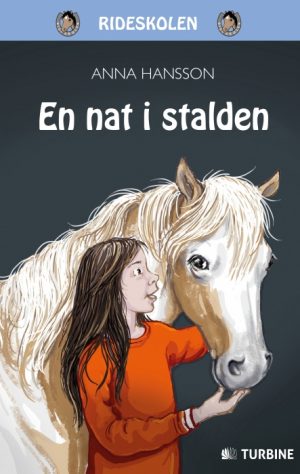 En nat i stalden (Bog)